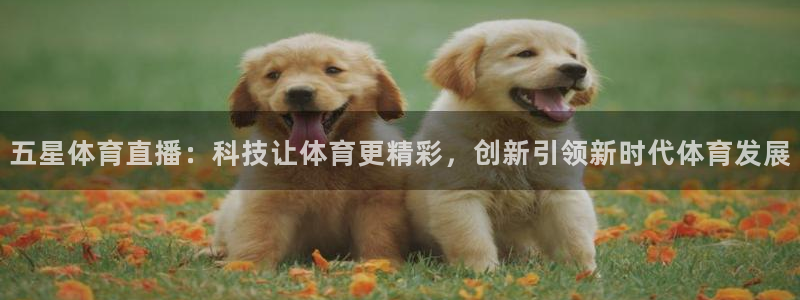 五星体育直播：科技让体育更精彩，创新引领新时代体育发展
