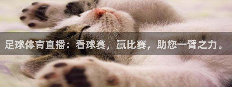 足球体育直播：看球赛，赢比赛，助您一臂之力。