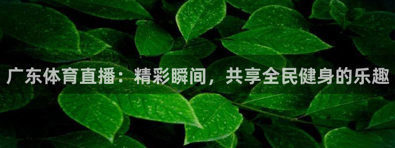 广东体育直播：精彩瞬间，共享全民健身的乐趣