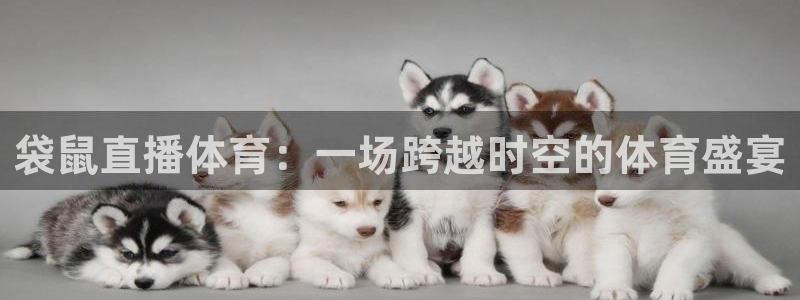 袋鼠直播体育：一场跨越时空的体育盛宴
