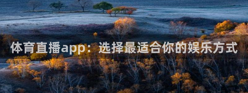 体育直播app：选择最适合你的娱乐方式