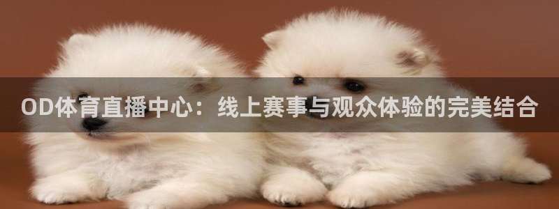 OD体育直播中心：线上赛事与观众体验的完美结合
