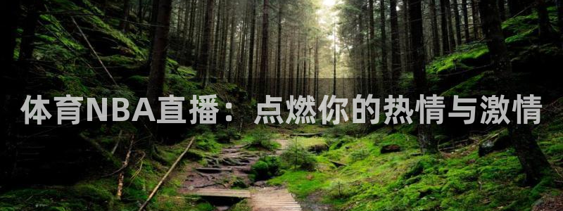 体育NBA直播：点燃你的热情与激情
