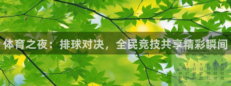 体育之夜：排球对决，全民竞技共享精彩瞬间