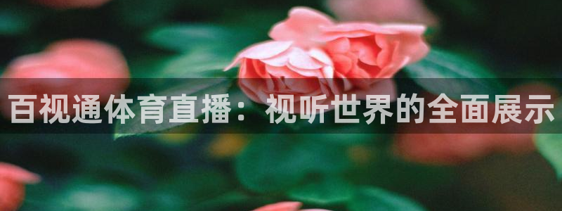 百视通体育直播：视听世界的全面展示