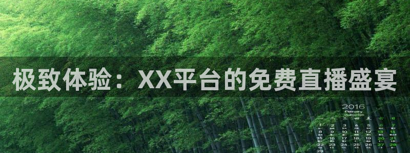 极致体验：XX平台的免费直播盛宴