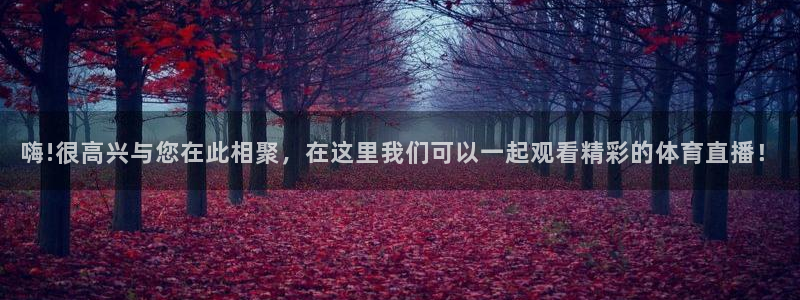 嗨!很高兴与您在此相聚，在这里我们可以一起观看精彩的体育直播！