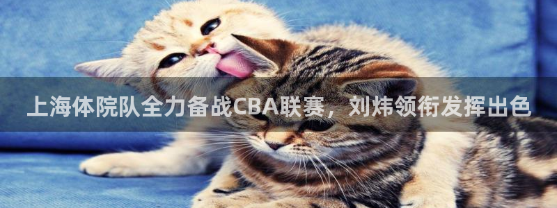 上海体院队全力备战CBA联赛，刘炜领衔发挥出色